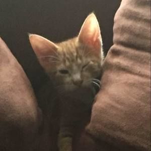 Meet your Posher, Holly